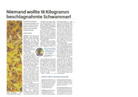 thumbnail of (2023-08-10) Niemand wollte 18 Kilogramm beschlagnahmte Schwammerl