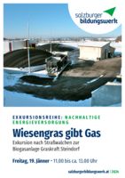 thumbnail of 20240119_Wiesengras gibt Gas_A5_Druck
