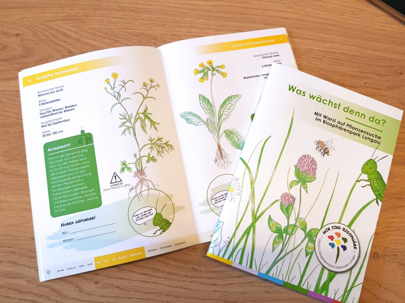 ＂Was wächst den da?＂ Pflanzenbuch für Volksschulen